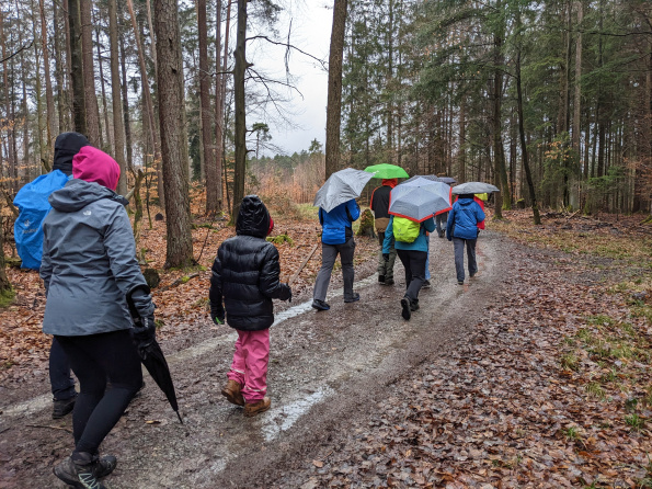 Biberländ im Naturpark bei Wüstenrot - Naturparkführer Schwäbisch-Fränkischer Wald e.V. Biberländ im Naturpark bei Wüstenrot - Naturparkführer Schwäbisch-Fränkischer Wald e.V.