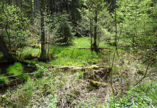 Keltisches Jahreskreisfest Beltane