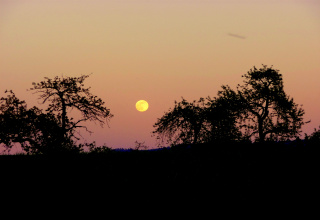 Vollmond über dem Schwäbisch-Fränkischen Wald