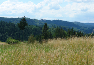 Wo ist der Büchelberger Grat?