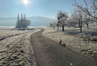 Genusswalking im Novemberlicht